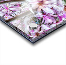V1196 Acrylic print