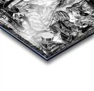 V1306 Acrylic print
