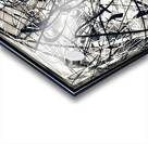 V1308 Acrylic print