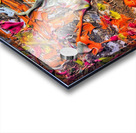 V1309 Acrylic print