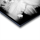 V1384 Acrylic print