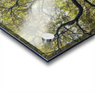 V1405 Acrylic print