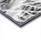 V1500 Acrylic print