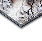 V1527 Acrylic print