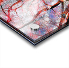 V1530 Acrylic print