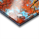 V1580 Acrylic print