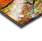 V1600 Acrylic print