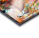 V1605 Acrylic print