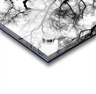 V1628 Acrylic print