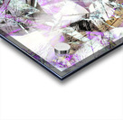 V1656 Acrylic print