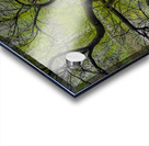 V1661 Acrylic print