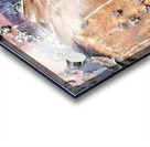 V14 Acrylic print