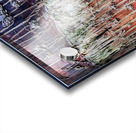 V15 Acrylic print