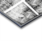 V26 Acrylic print