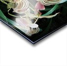 V28 Acrylic print