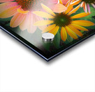 V40 Acrylic print