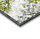 V43 Acrylic print