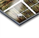 V48 Acrylic print