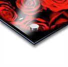 V66 Acrylic print