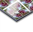 V74 Acrylic print
