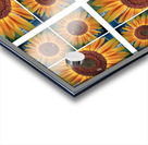 V95 Acrylic print