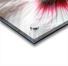 V96 Acrylic print