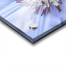 V119 Acrylic print