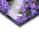 V140 Acrylic print