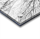 V150 Acrylic print