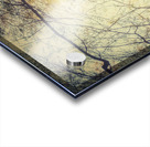 V200 Acrylic print
