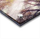 V201 Acrylic print