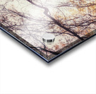 V202 Acrylic print