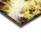 V203 Acrylic print