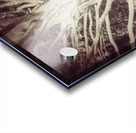 V205 Acrylic print