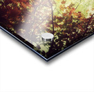 V206 Acrylic print