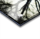 V209 Acrylic print