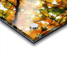 V210 Acrylic print