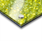 V250 Acrylic print