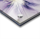 V285 Acrylic print