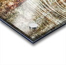 V300 Acrylic print