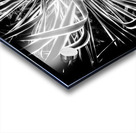 V301 Acrylic print