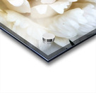 V304 Acrylic print