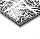 V305 Acrylic print