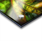 V306 Acrylic print