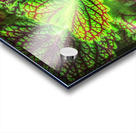 V307 Acrylic print