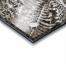 V308 Acrylic print