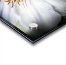 V310 Acrylic print