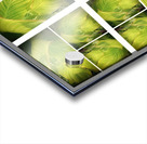 V318 Acrylic print