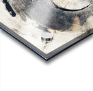 V320 Acrylic print