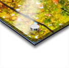 V321 Acrylic print